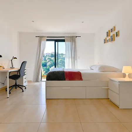 à L'entrée De Porticcio - Piscine - Vue Dégagée *